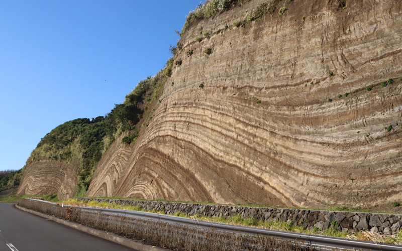 写真スポットとしても人気の地層大切断面【バームクーヘン】