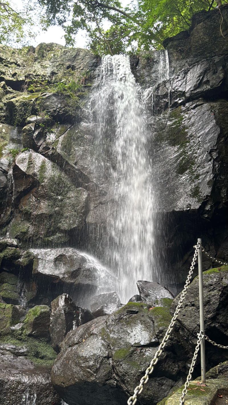IMG_7965.jpg